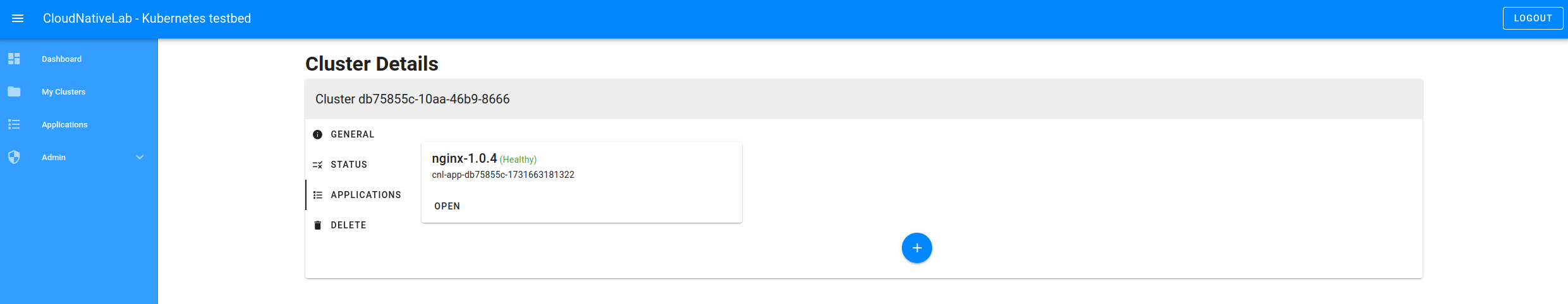 screenshot of the cluster application details menu